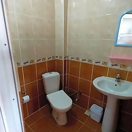 Hotel Altay