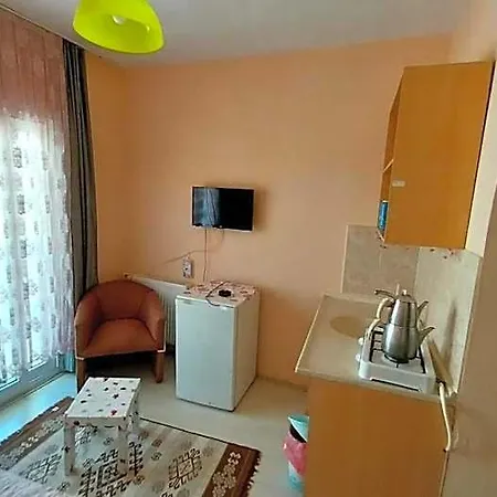 Altay Çınarcık